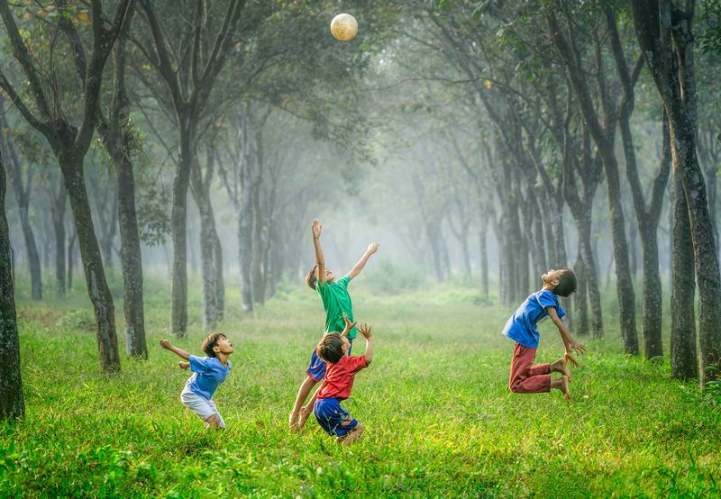 Crianças brincando entre as árvores